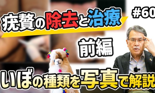 诺和力的功效与副作用-诺和力的主治功能网 - 为你提供诺和力的功效与副作用、诺和力降血糖效果怎么样
